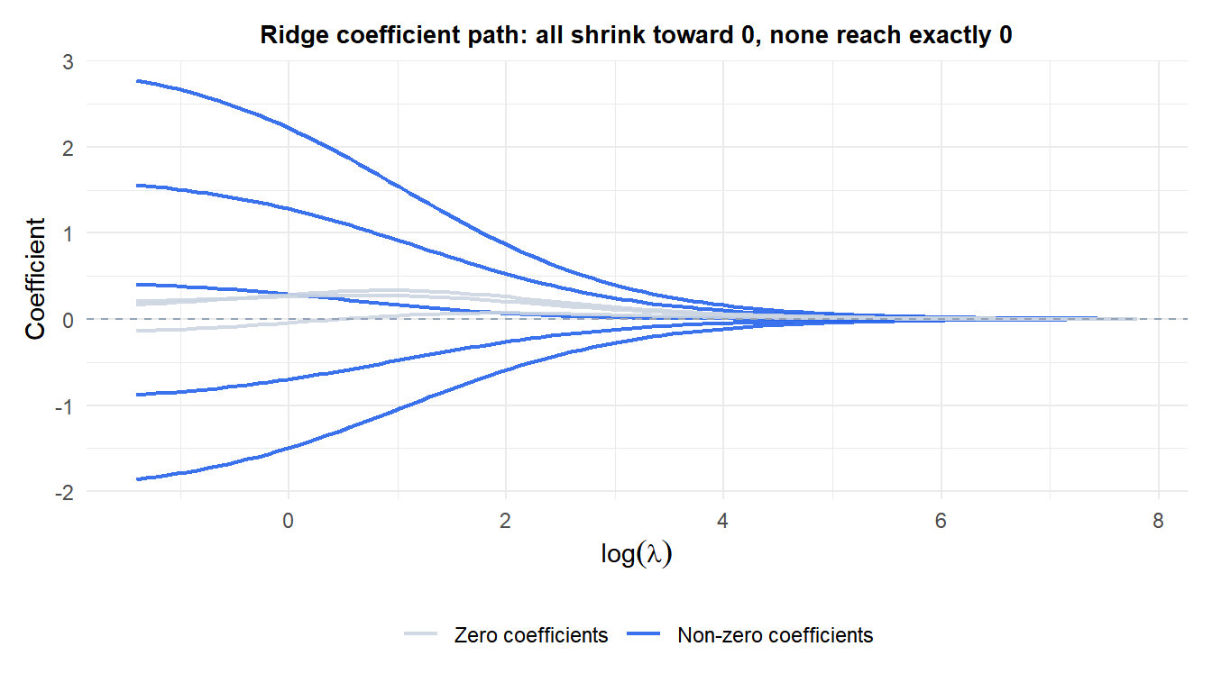 Ridge coefficient path showing how each coefficient shrinks as lambda increases