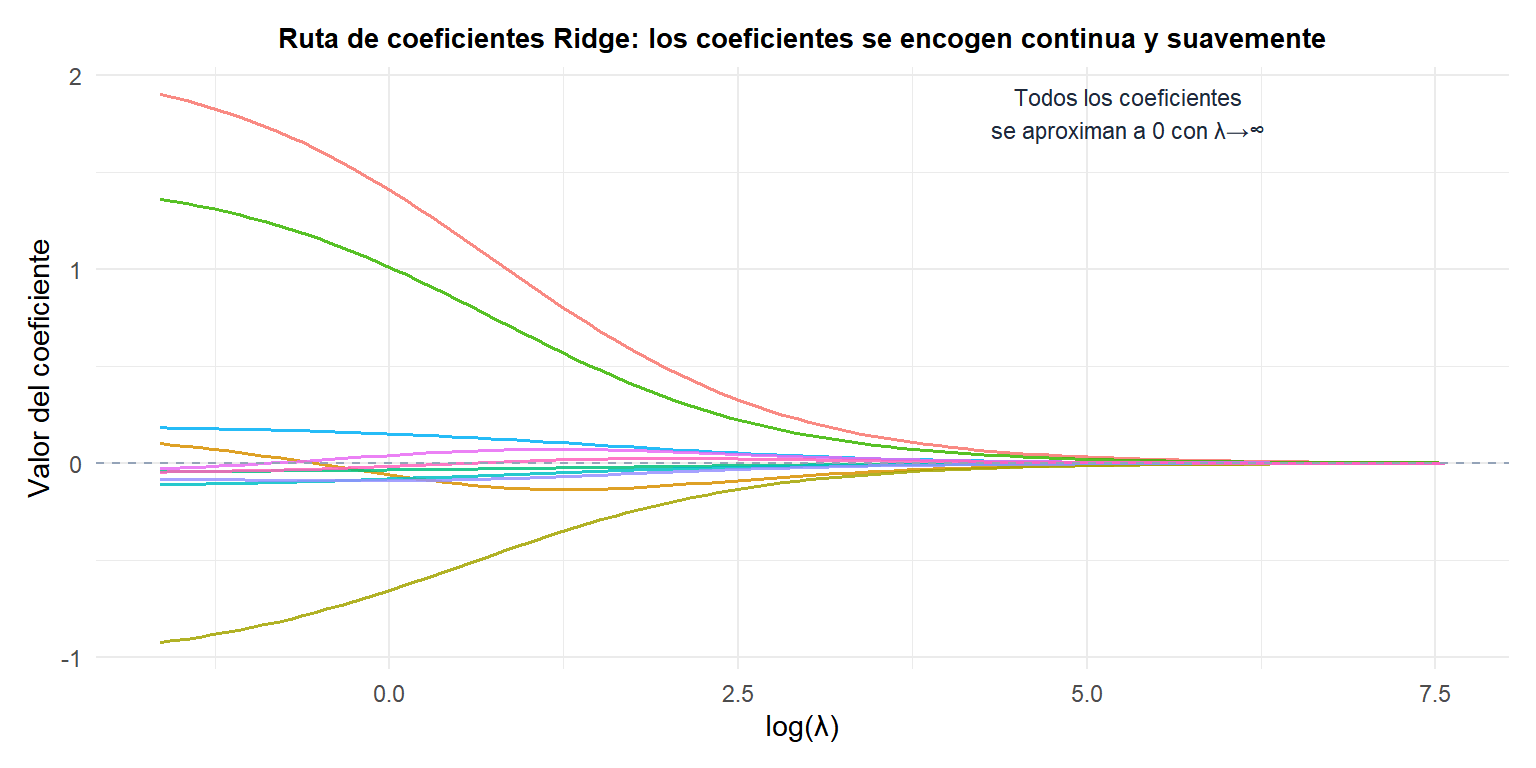 Ruta de coeficientes Ridge en función de log(lambda) mostrando cómo todos los coeficientes se encogen continuamente hacia cero